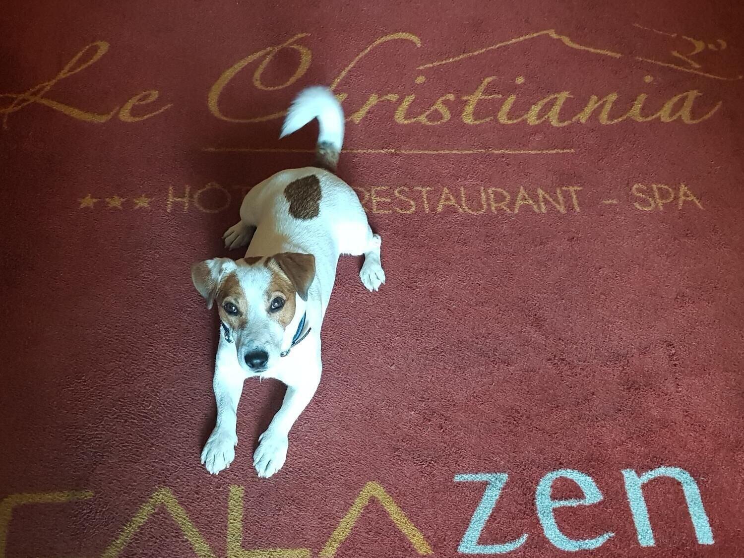 Le Christiania Hotel & Spa La Salle-les-Alpes Εξωτερικό φωτογραφία